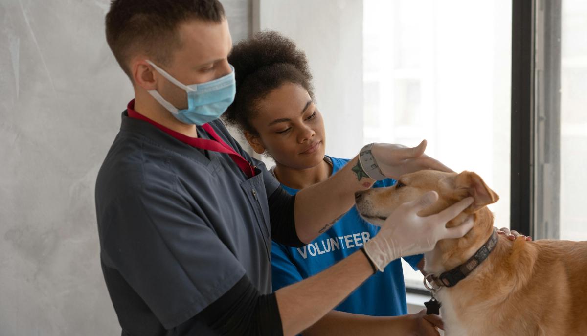 veterinaria migliori università classifica