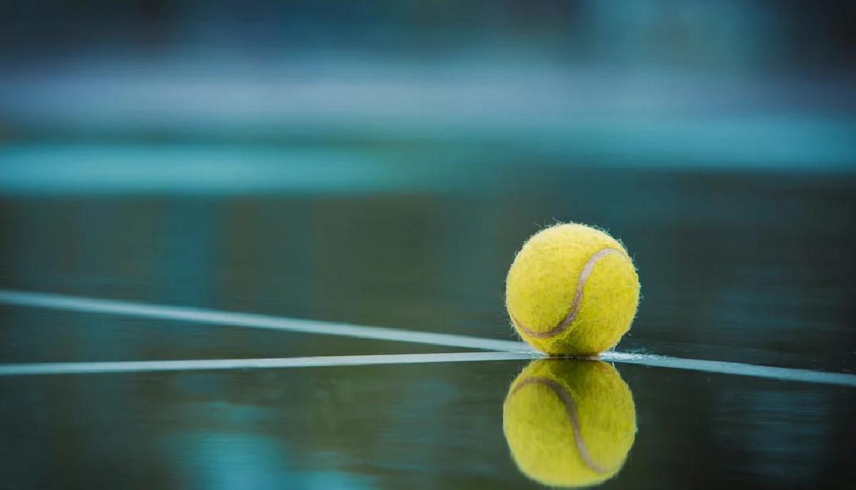Wimbledon, quanto guadagna il vincitore?