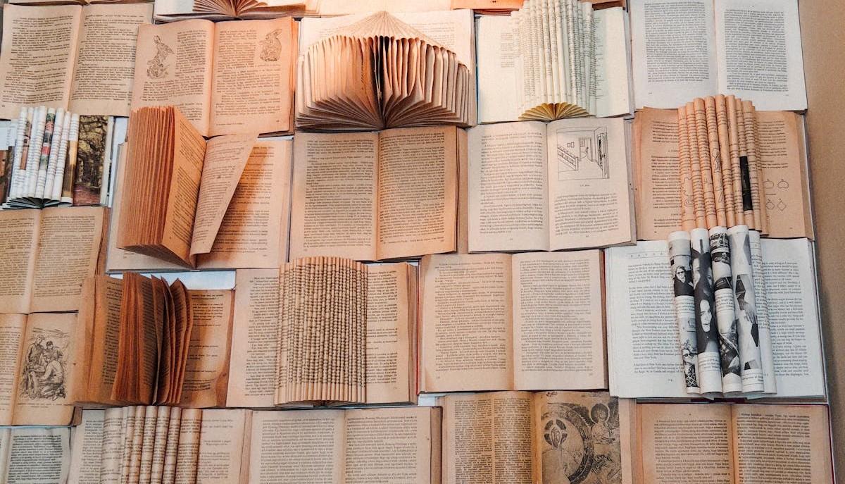 Libri in vendita