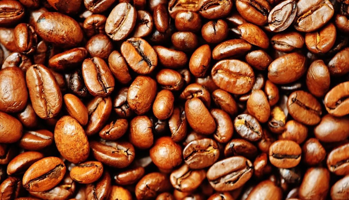 Chicchi di caffè da accompagnare alle frasi per la Giornata Internazionale del Caffè