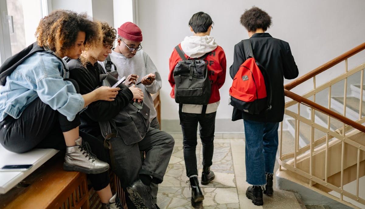 sedie di scuola