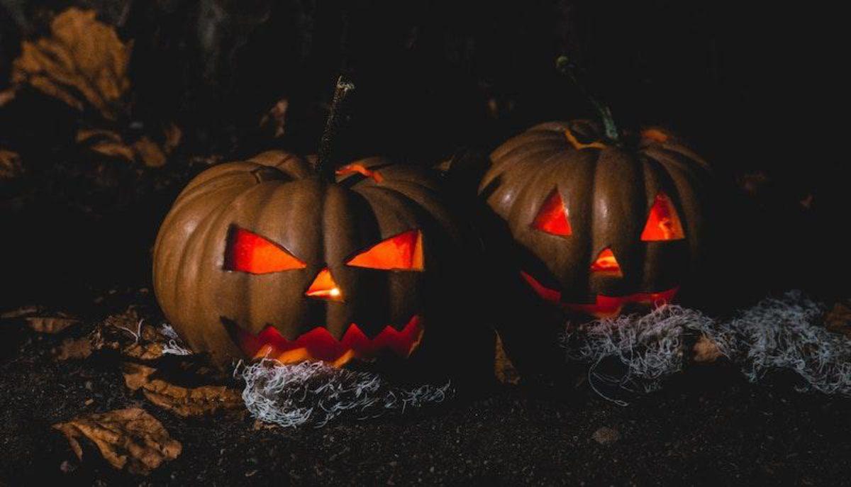 Zucca Jack o' lantern