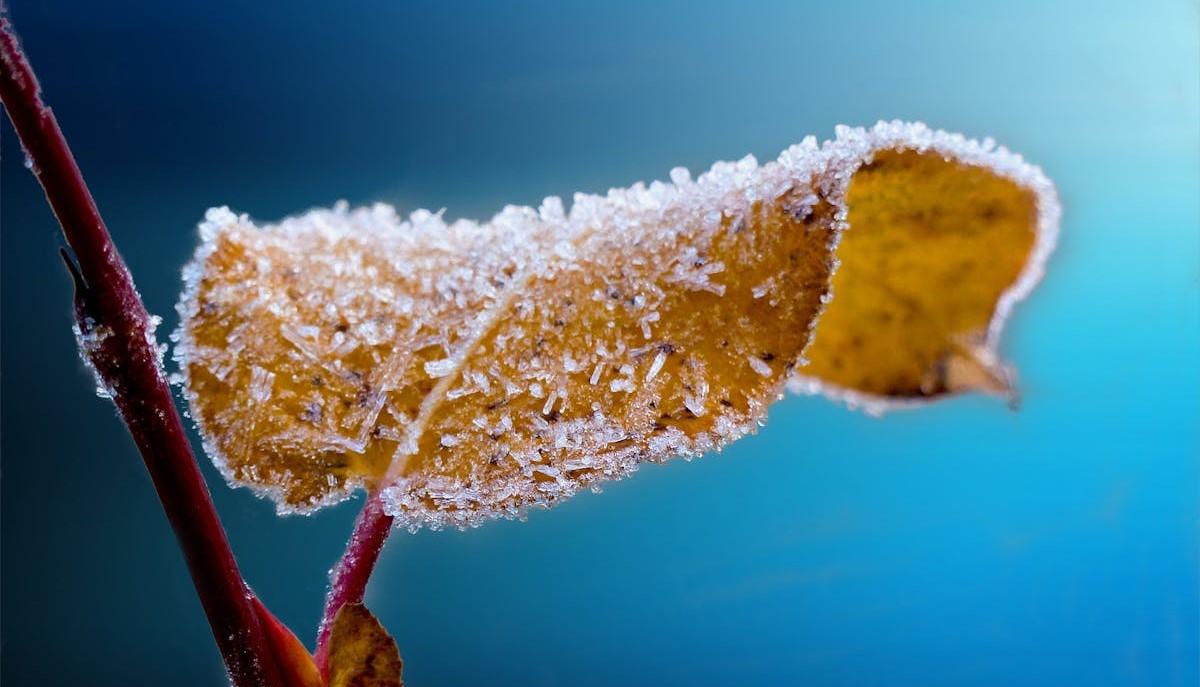 Inverno 2024-2025, previsti neve e gelo: quando arriverà il freddo