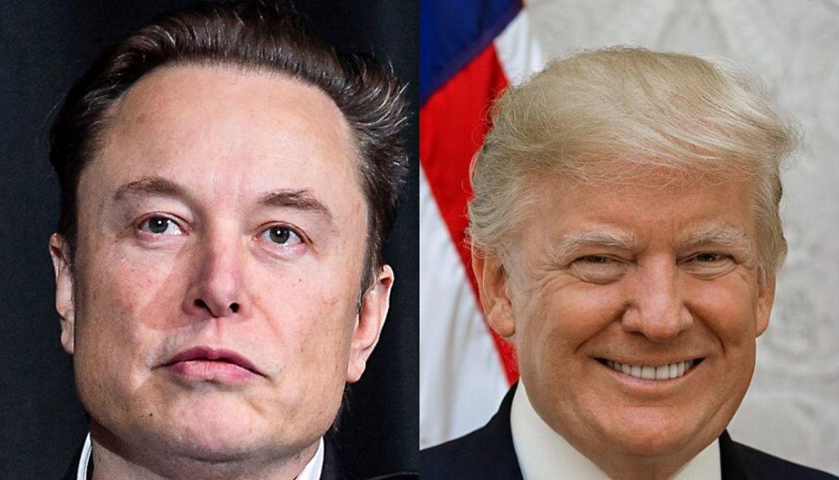 Elon Musk: un milione di dollari al giorno per chi vota Trump