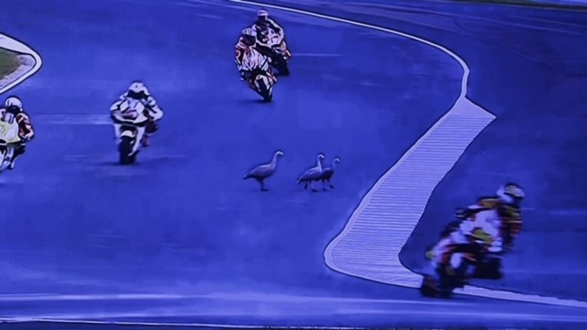 MotoGP, oche in pista durante le prove e si ferma tutto: le incredibili immagini