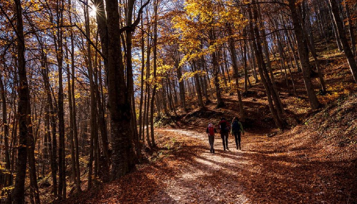 I parchi più belli d’Italia in cui andare in autunno