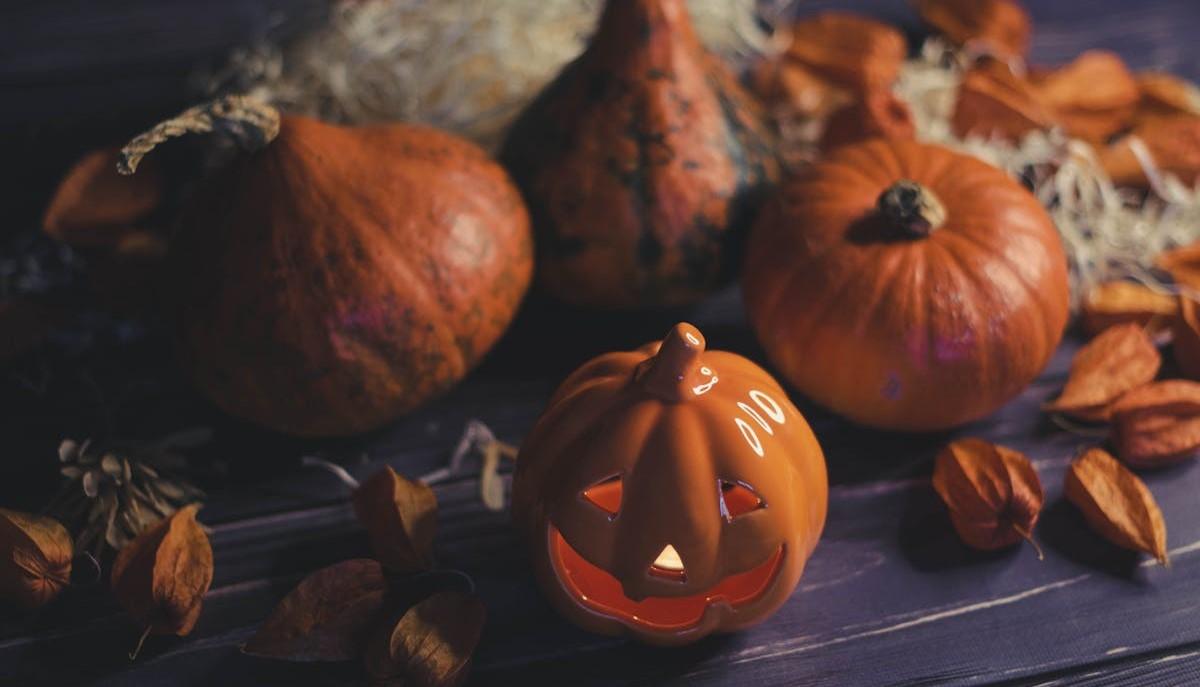 Zucche di Halloween