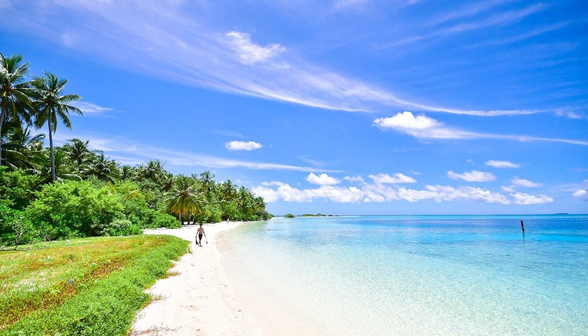 Cosa serve per sopravvivere su un'isola deserta?