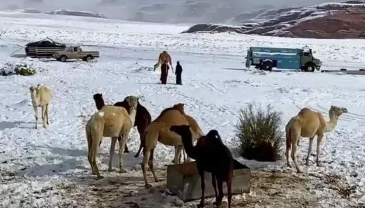 Neve nel deserto in Arabia Saudita, le incredibili immagini