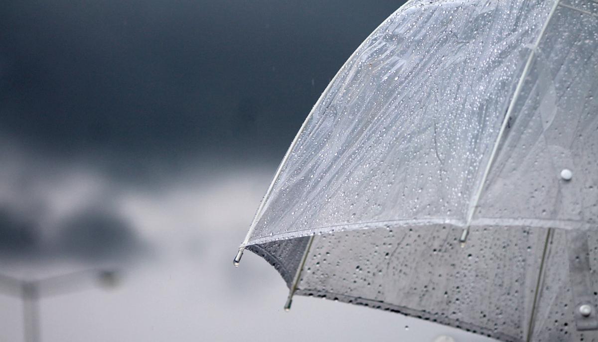 Scuole chiuse per maltempo il 14 novembre: ecco dove