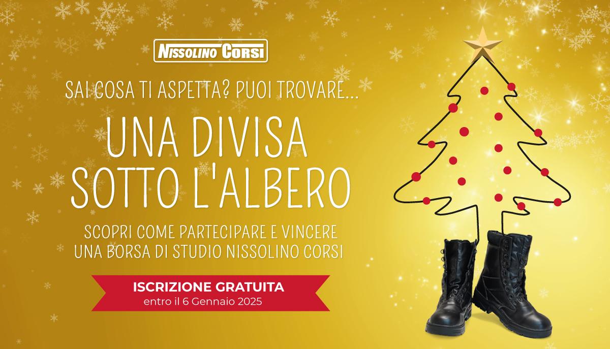 Una divisa sotto l'albero
