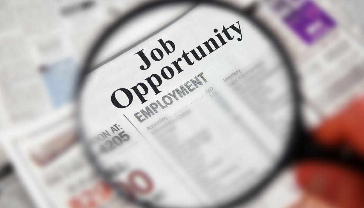 lavoro laurea scienze politiche
