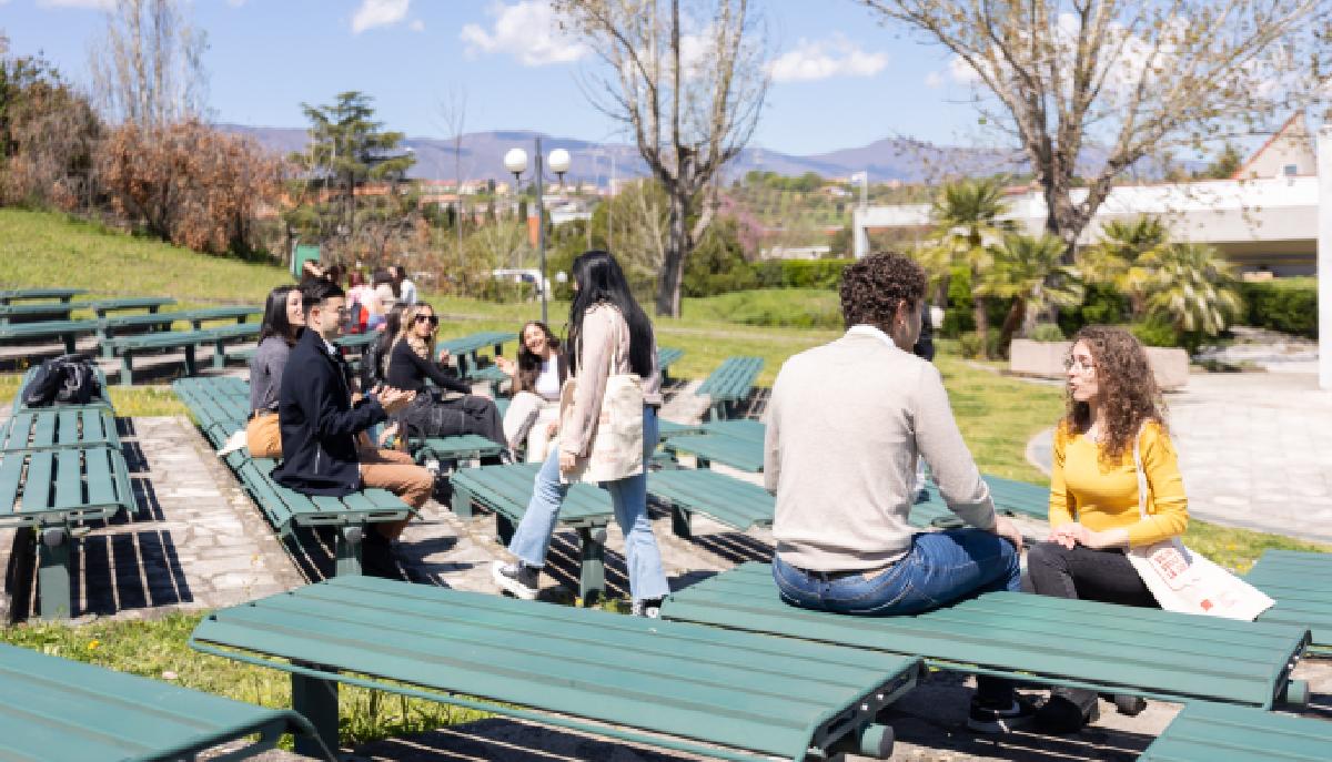 Università della Calabria, un’eccellenza accademica nel Sud Italia: ecco 5+1 motivi per sceglierla articolo