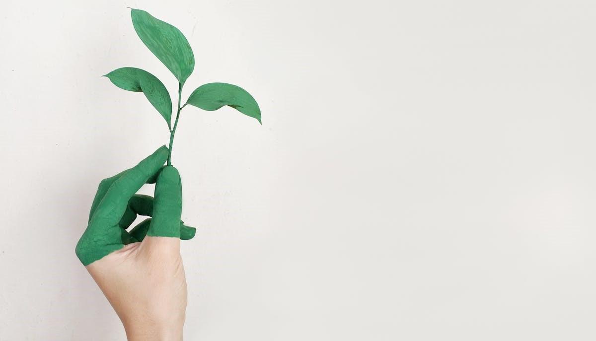 Collegamenti Maturità sulla natura