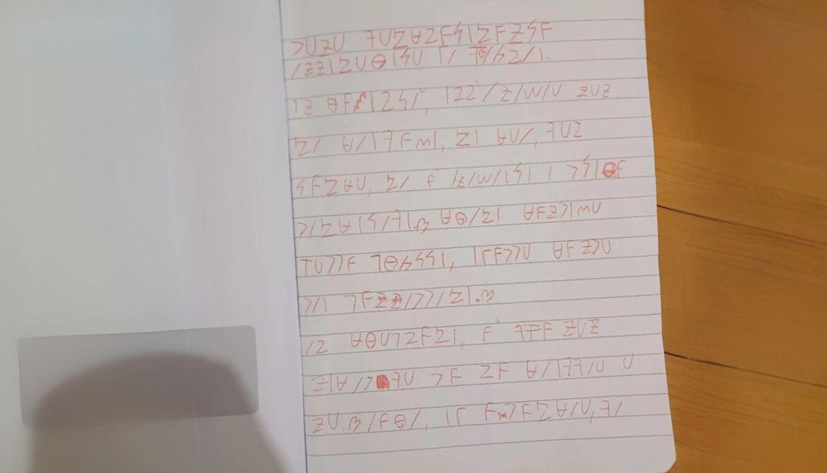 Il diario in codice