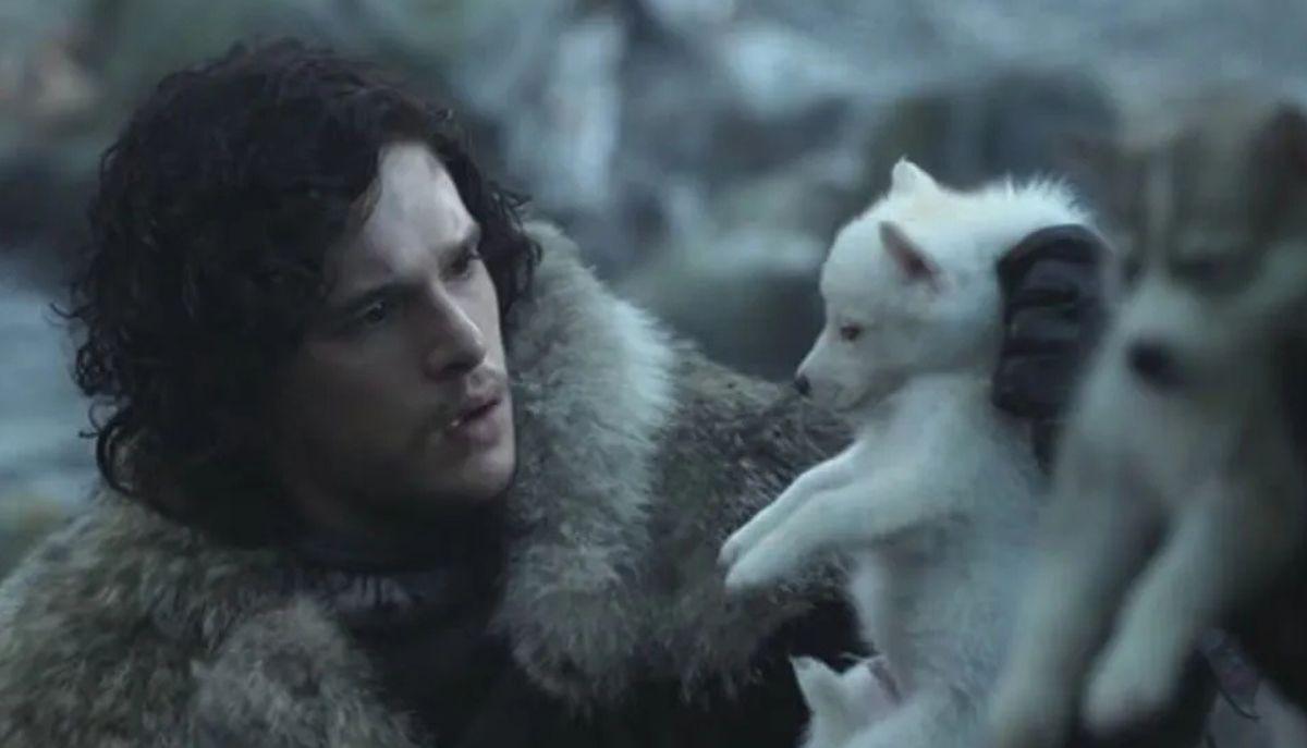 John Snow e metalupo di Game of Thrones