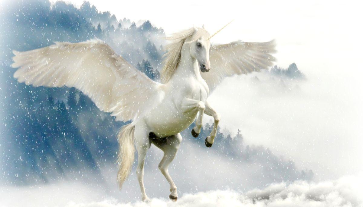 Giornata mondiale unicorno