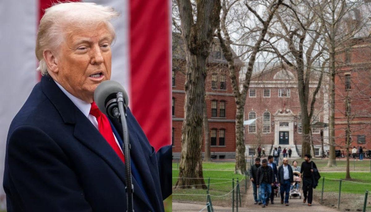 Trump risponde ad Harvard