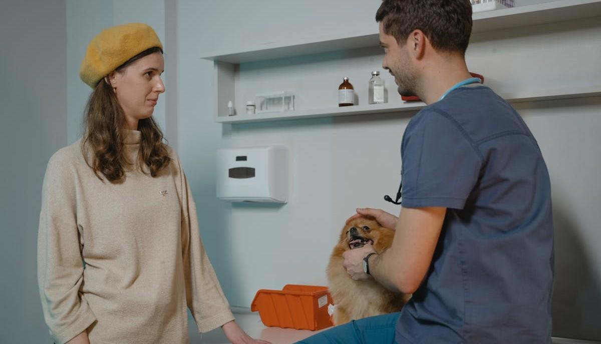 Come funziona accesso Veterinaria