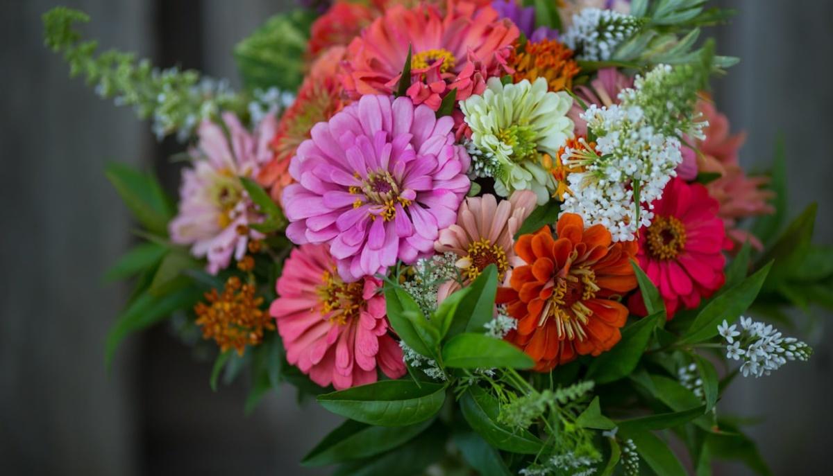 Fiori Per Diploma Di Maturità Ragazzo