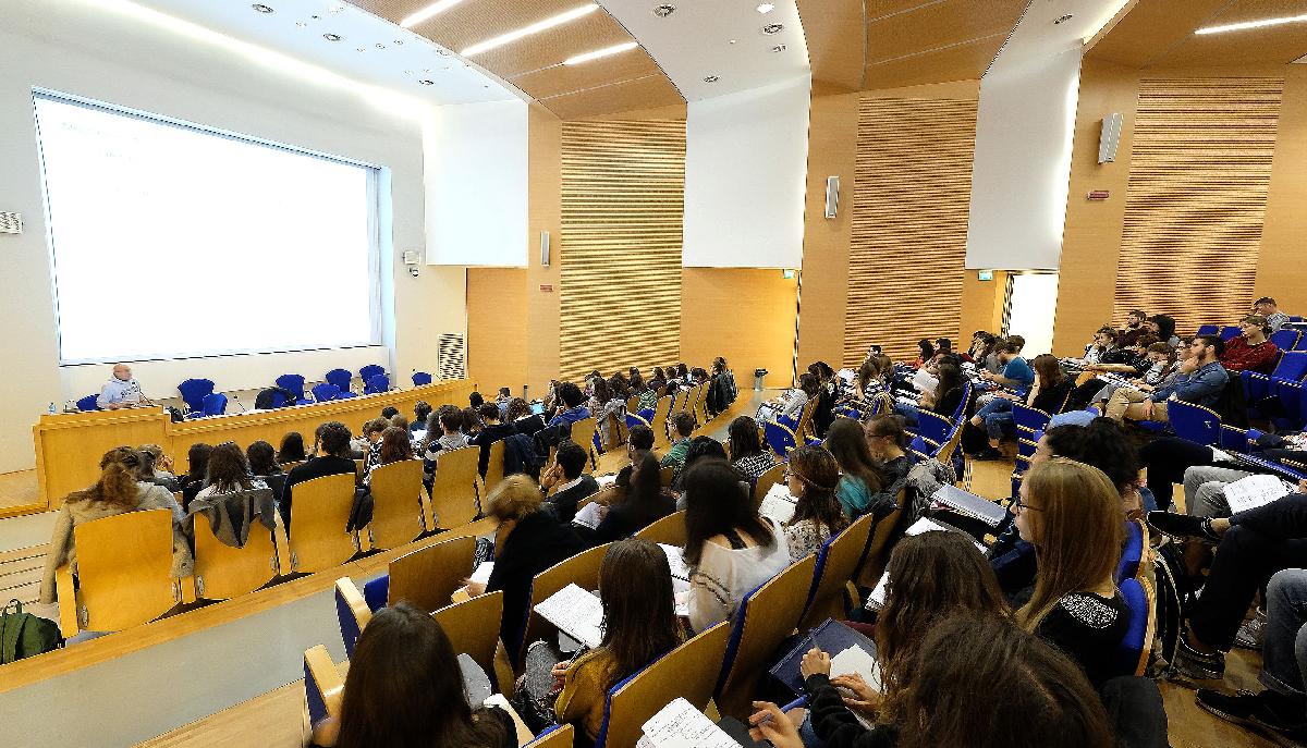 universita degli studi di verona