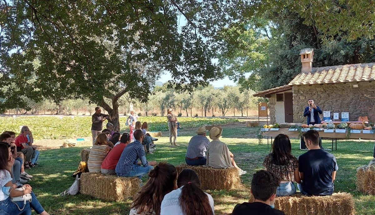 Università degli Studi della Tuscia, l’ateneo green premiato dall’ANVUR: ecco perché scegliere di studiare qui articolo