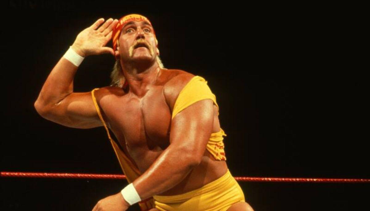 hulk hogan