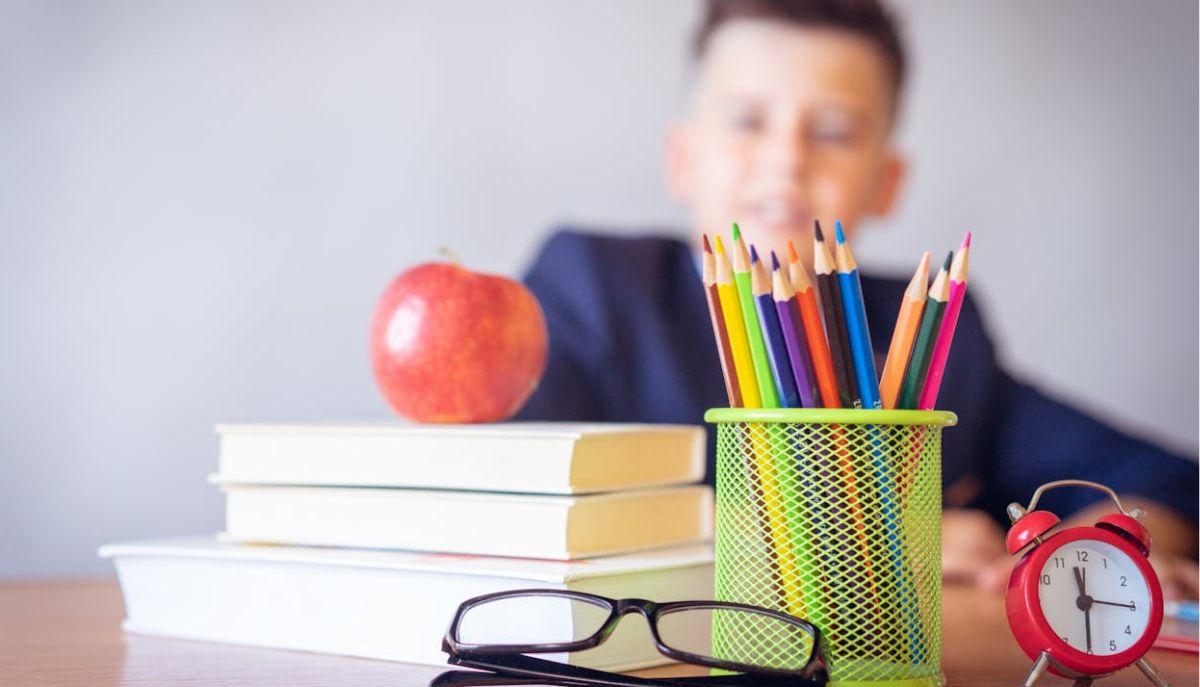 alunno a scuola
