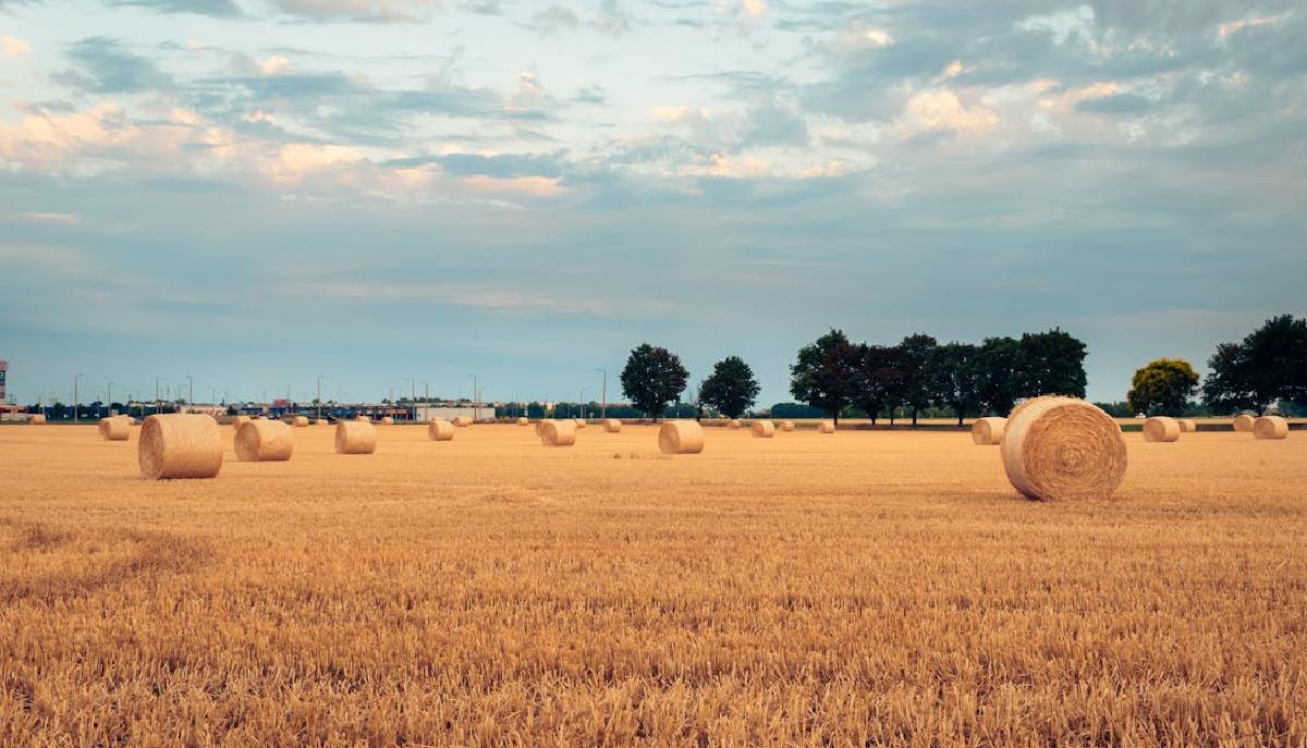 x agosto di giovanni pascoli