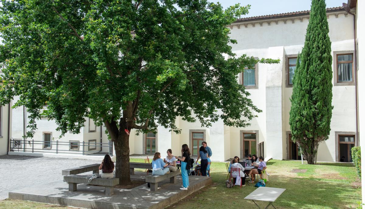 Università degli Studi della Tuscia, l’ateneo green premiato dall’ANVUR: ecco perché scegliere di studiare qui articolo