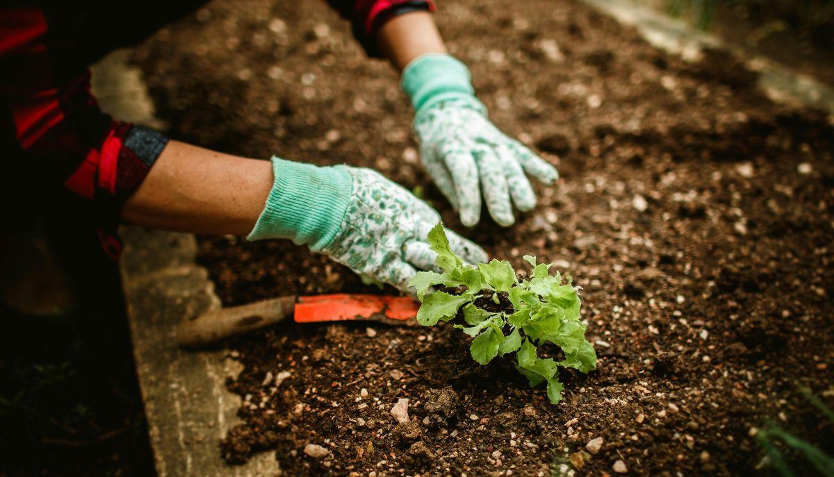 Nuove norme condotta giardinaggio