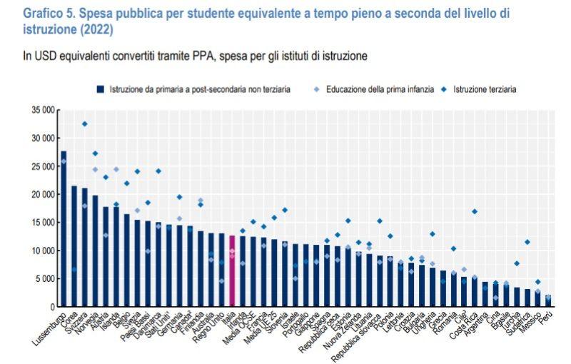Grafico 1