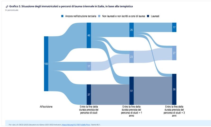 Grafico situazione immatricolati università