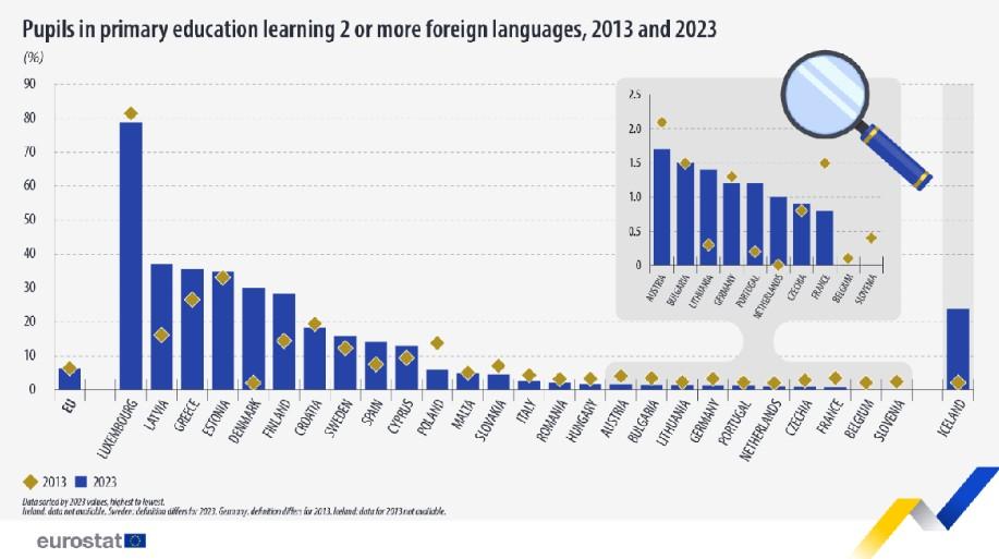 Grafico scuola primaria