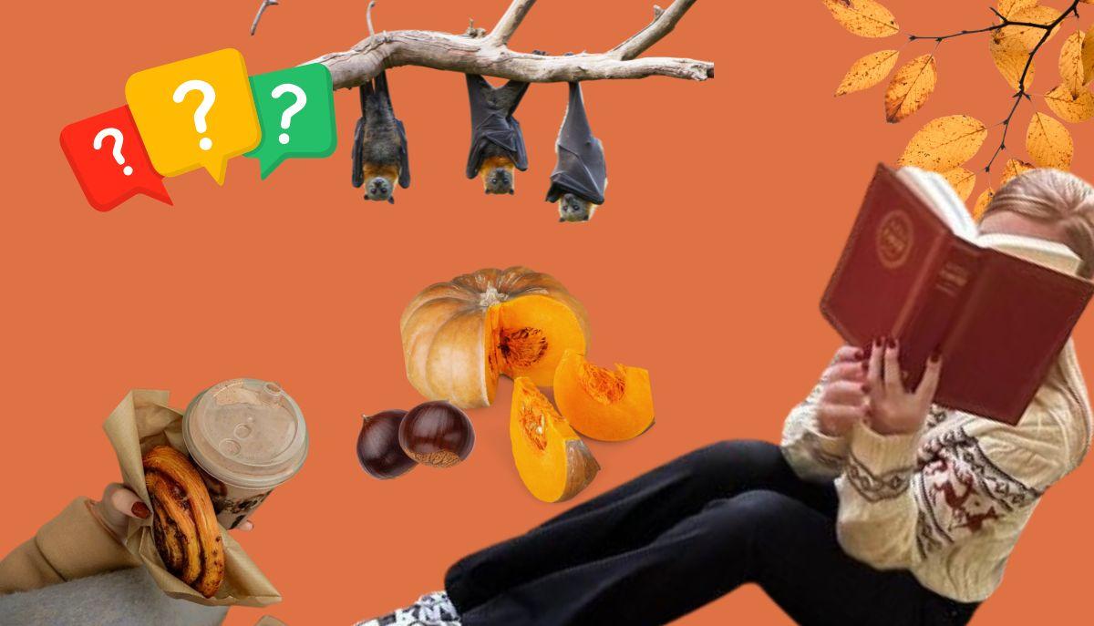 Mood autunnale