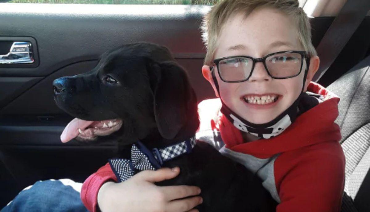 Vende le carte Pokémon per curare il suo cane: raccoglie quasi 20 mila dollari e lo salva