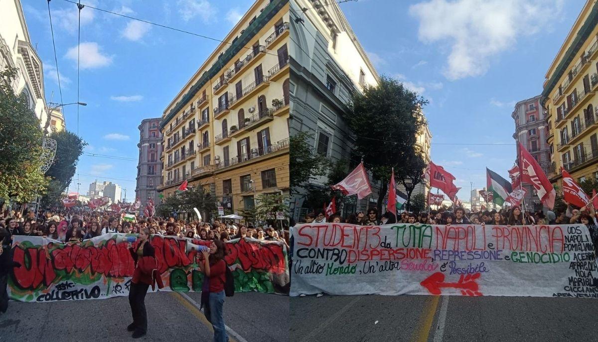 manifestazione 14 novembre