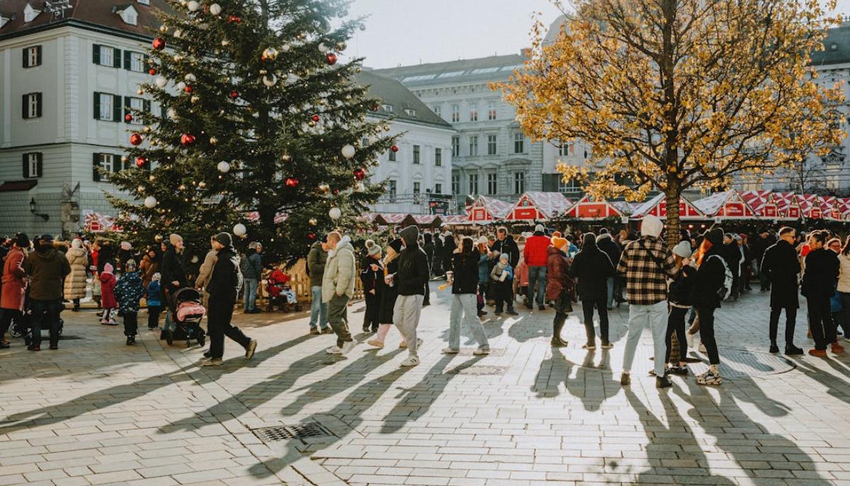 Cosa fare tra Natale e Capodanno: idee e attivit&agrave; articolo