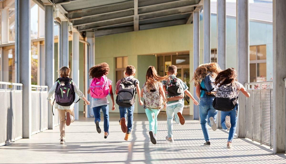 I prof raccontano le cose più assurde portate in classe dai loro studenti