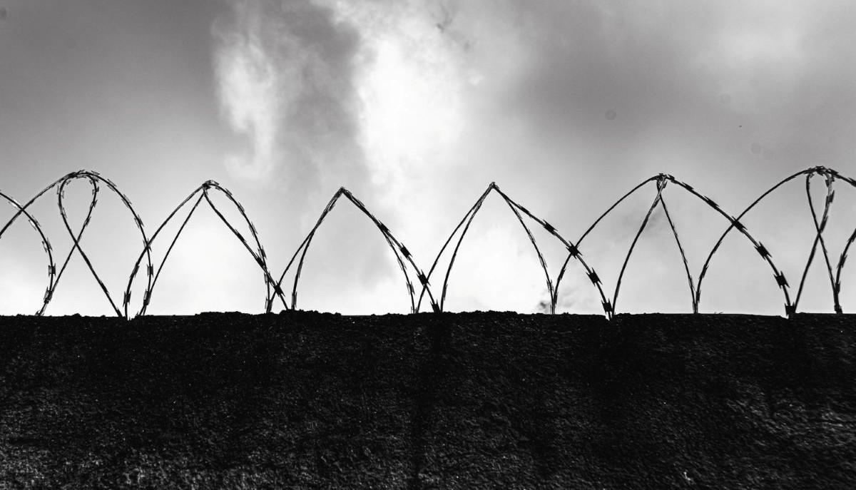 Perché il Giorno della Memoria si celebra il 27 gennaio?