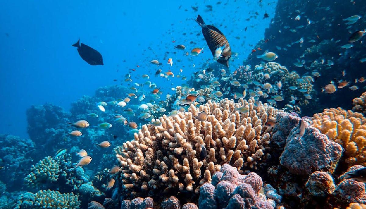 Blue Economy: risorse marine, energia offshore e porti smart generano oltre 25mila nuovi posti di lavoro