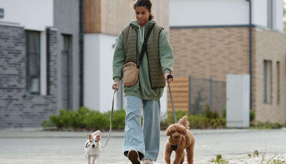 Basta vivere con la paghetta: come guadagnare 1.000 euro al mese studiando a tempo pieno all'Università