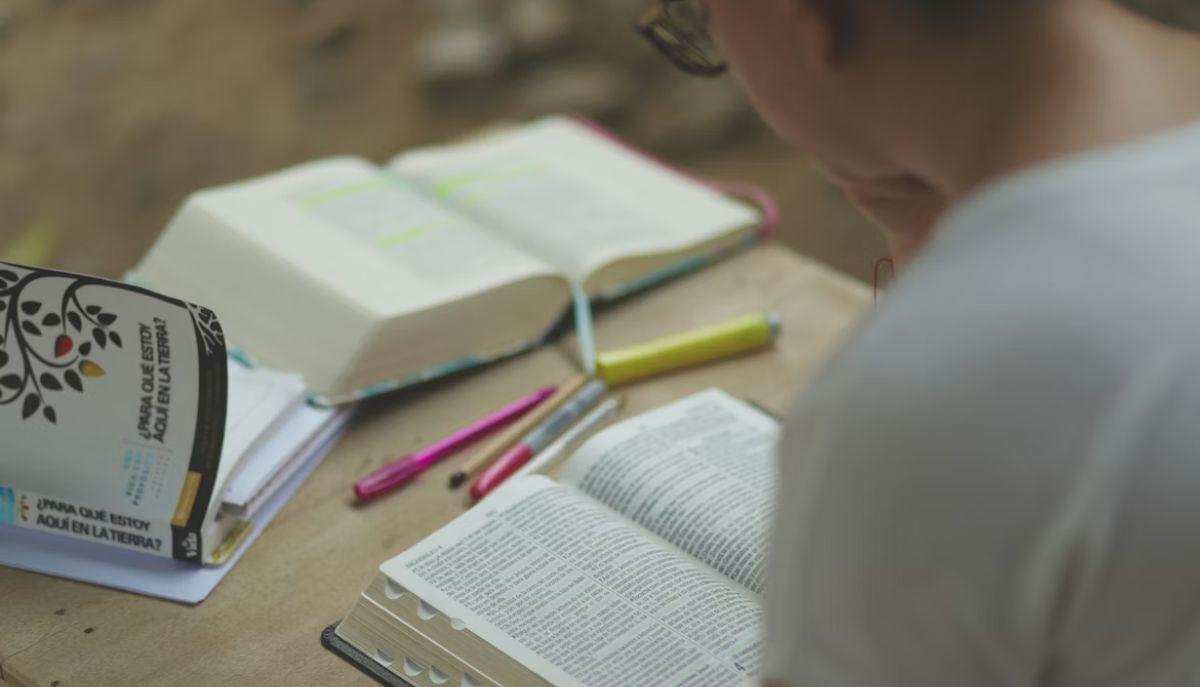 Studente liceo di Milano