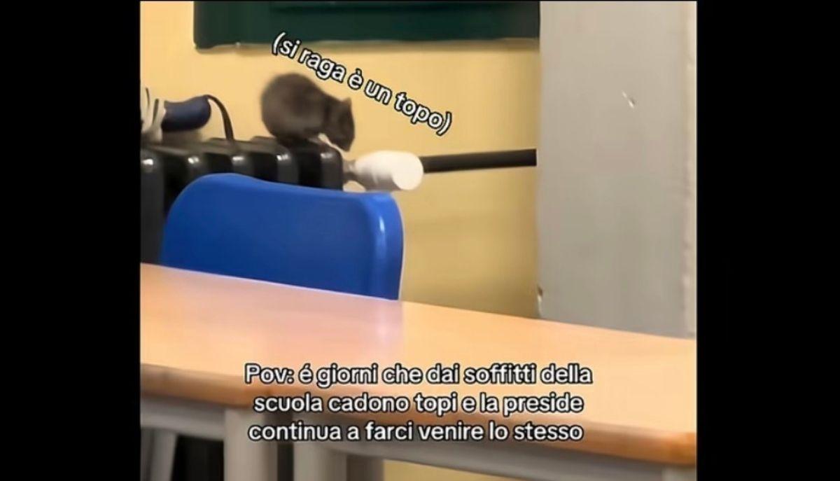 A scuola 'piovono' topi: il video della studentessa denuncia le condizioni precarie dell’istituto