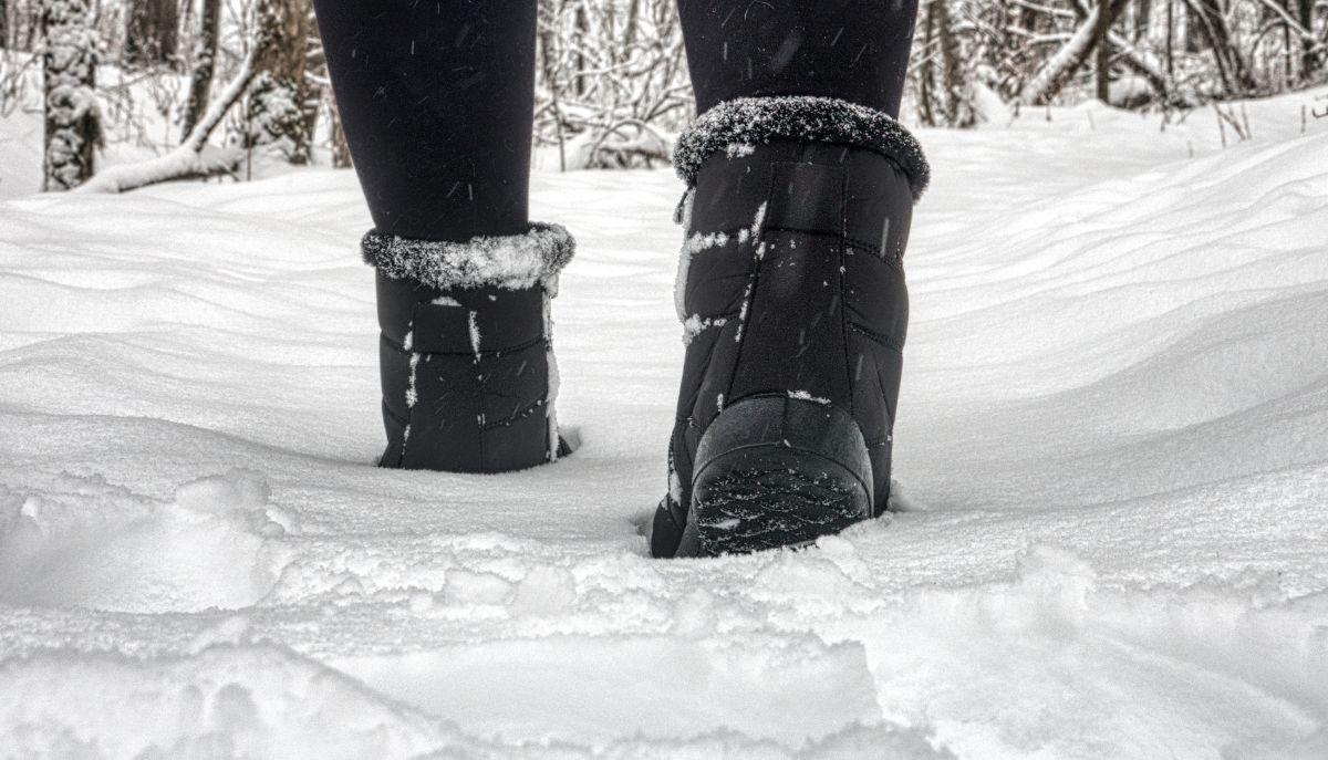 11enne senza biglietto "olimpico" lasciato a piedi sotto la neve: sospeso l'autista