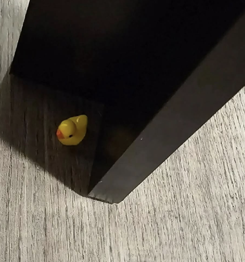 Nascondono 100 paperelle per testare l'addetta alle pulizie: la sua reazione &egrave; epica articolo