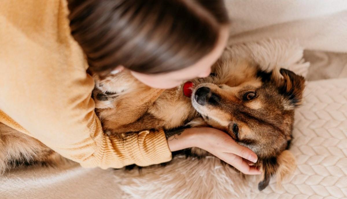 In Francia il “pet care” entra nel curriculum scolastico: educare alla cura diventa materia
