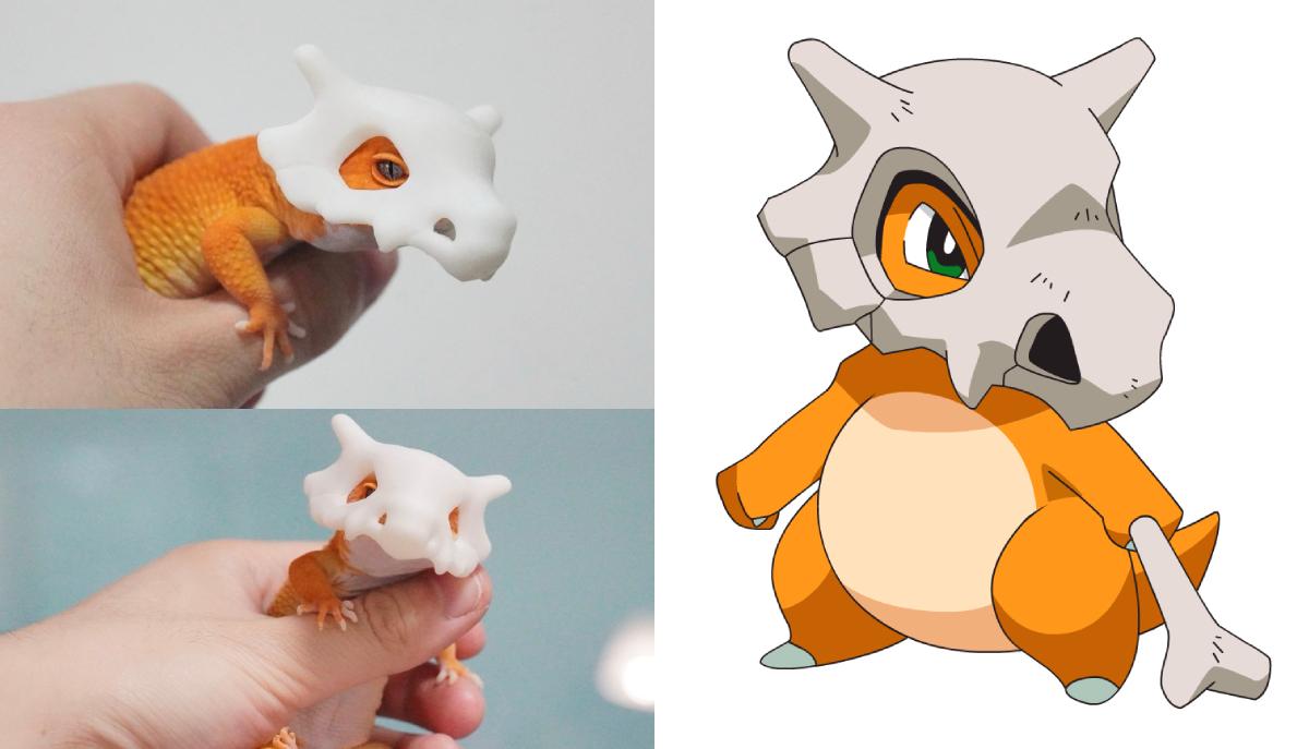 Come creare un cosplay Pokémon per il tuo animale domestico: il casco da Cubone è già virale