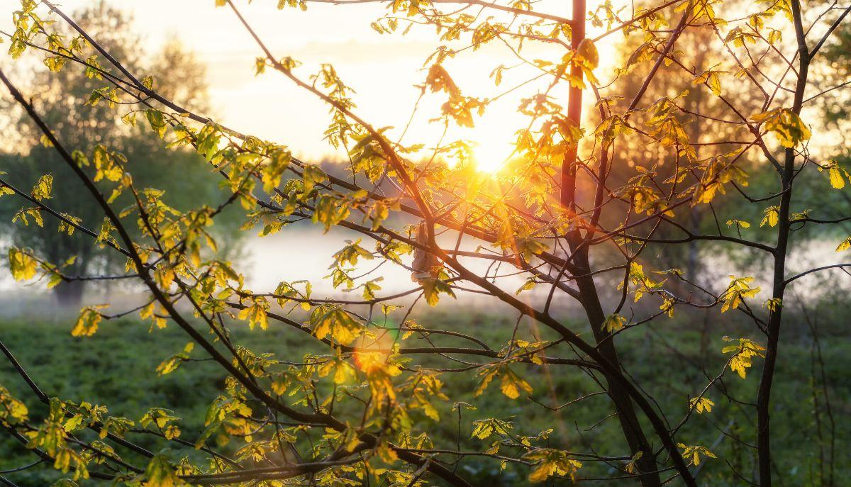 Equinozio di primavera 2026: quando cade e perché tutti sbagliano la data