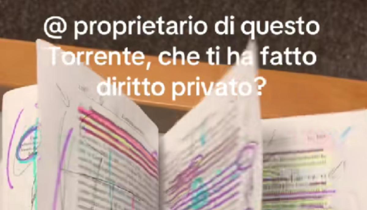 Sottolineare tutto per non impazzire: perché il video del manuale scarabocchiato è il "mood" di ogni studente